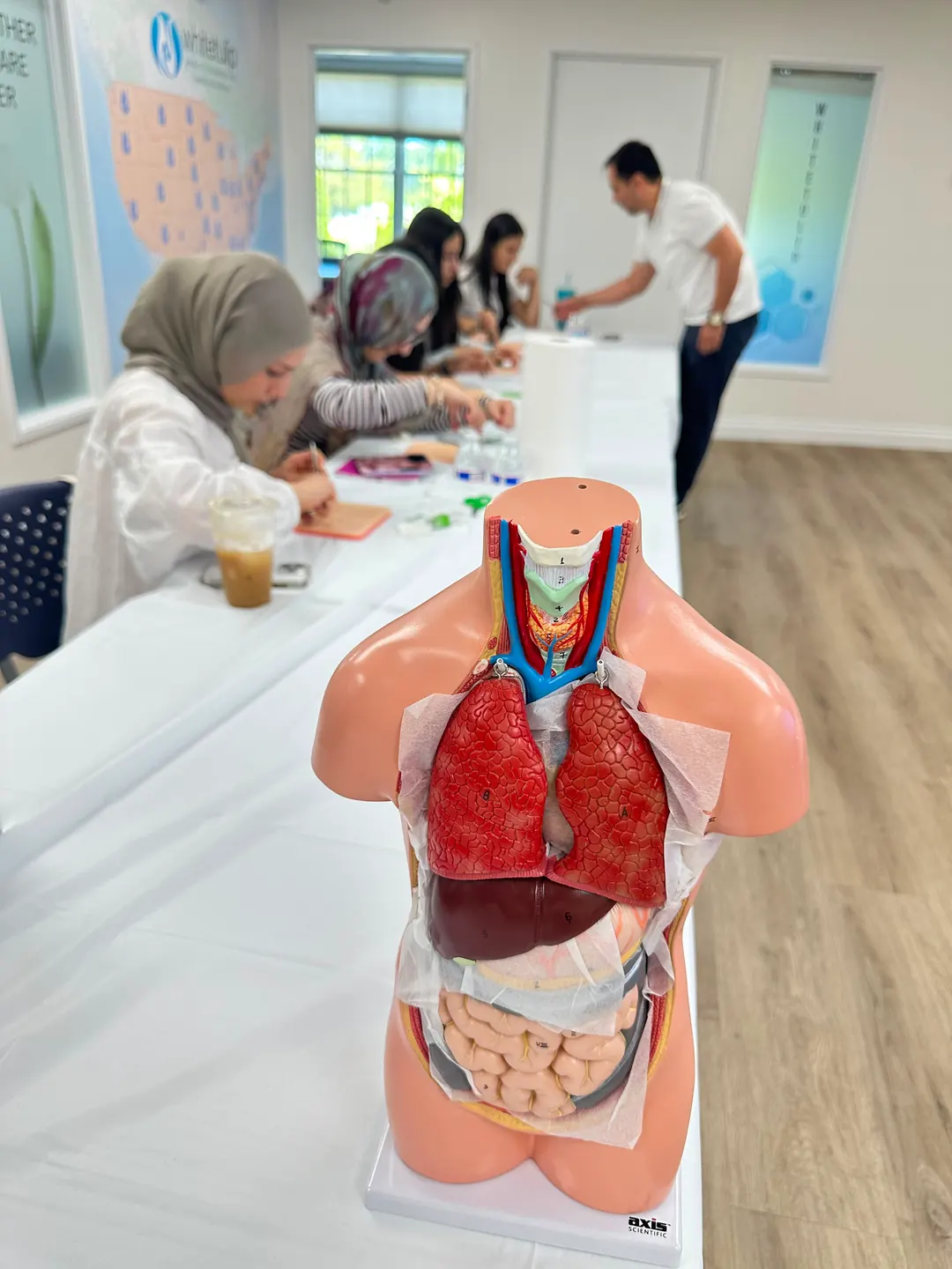 Klinik beceri atölyesinde kullanılan anatomi modeli
